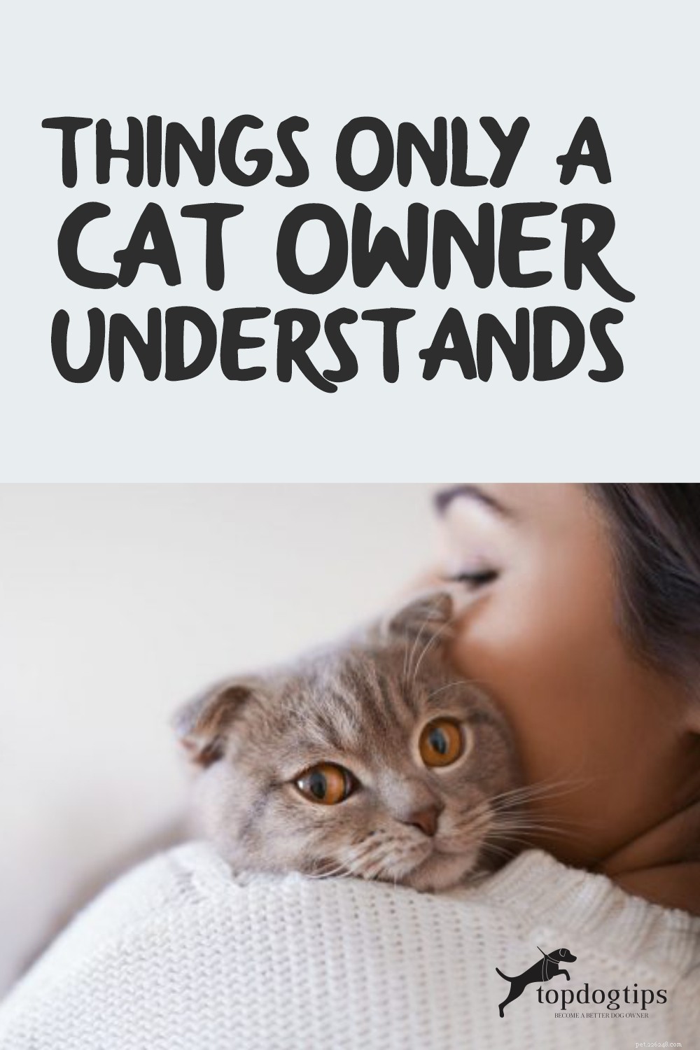Dingen die alleen een katteneigenaar begrijpt