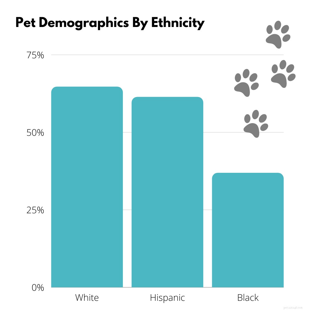 Demografi för hundägare:fakta om husdjursägare