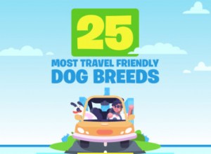 25最も旅行に優しい犬種 