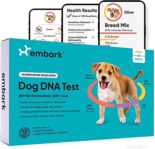 Top 5 des meilleurs tests ADN pour chiens