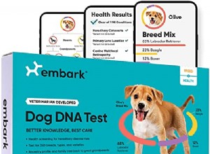 Top 5 nejlepších testů DNA psů