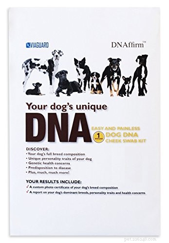 Top 5 bästa hund-DNA-tester