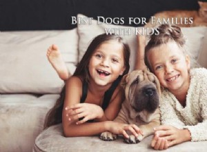 16 melhores cães para famílias com crianças
