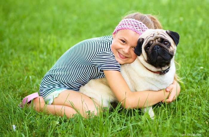 16 meilleurs chiens pour les familles avec enfants