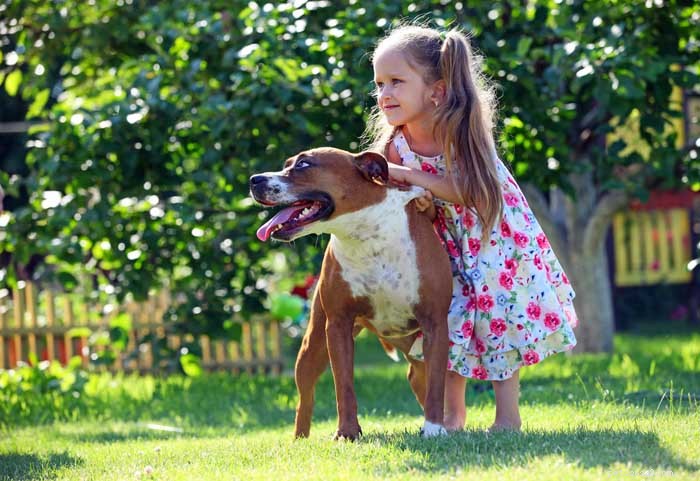 16 nejlepších psů pro rodiny s dětmi