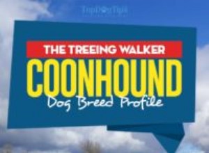 Treeing Walker Coonhound 개 품종 프로필