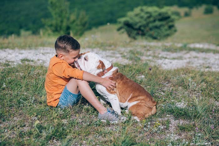 20 mest vänliga hundraser i världen