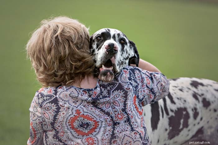 Os melhores cães de apoio emocional