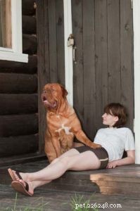 Un chien pour la protection personnelle :6 choses que vous devez considérer en premier