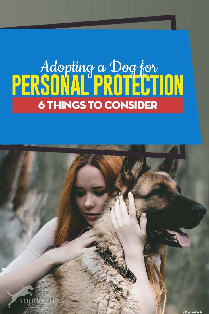 En hund för personligt skydd:6 saker du måste tänka på först