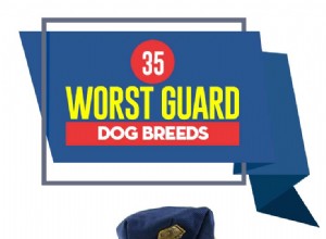 Les 35 pires races de chiens de garde