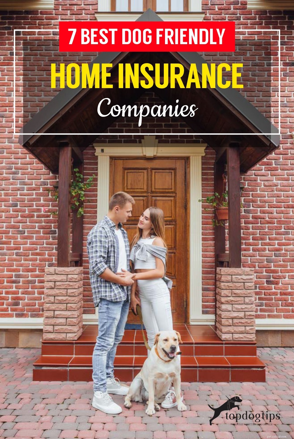 7 bästa hundvänliga hemförsäkringsbolag