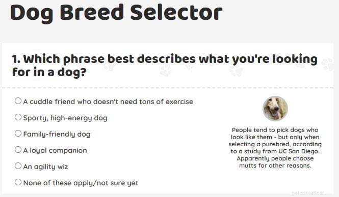 4 webbsidor för bästa hundras-quiz