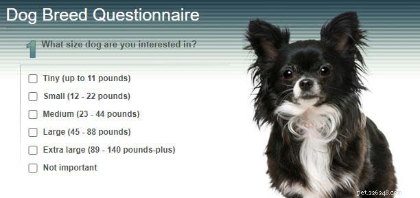 4つの最高の犬種クイズオンラインウェブサイト 