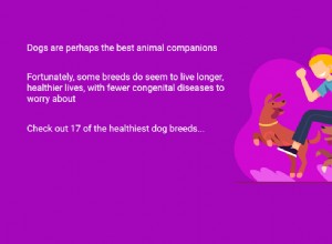 17 das raças de cães mais saudáveis ​​[2021]