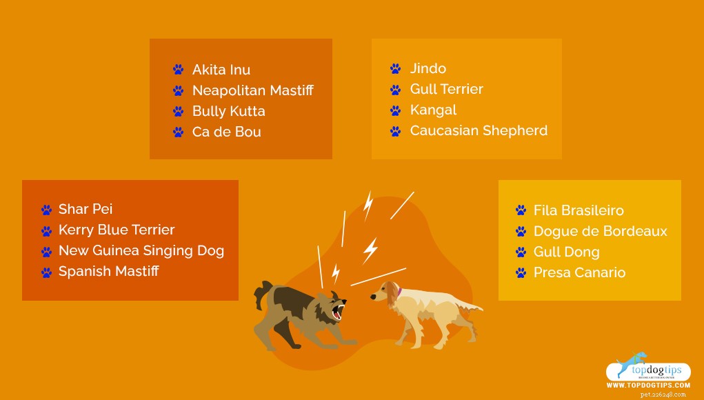 15 nejoblíbenějších plemen bojových psů