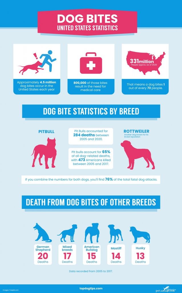 EUA Estatísticas sobre mordidas de cachorro em 2021 (19 raças comparadas)