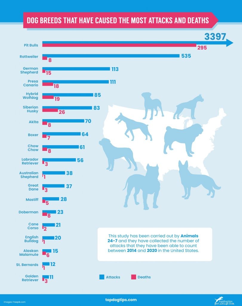 U.S. Statistiky kousnutí psem 2021 (19 srovnání plemen)