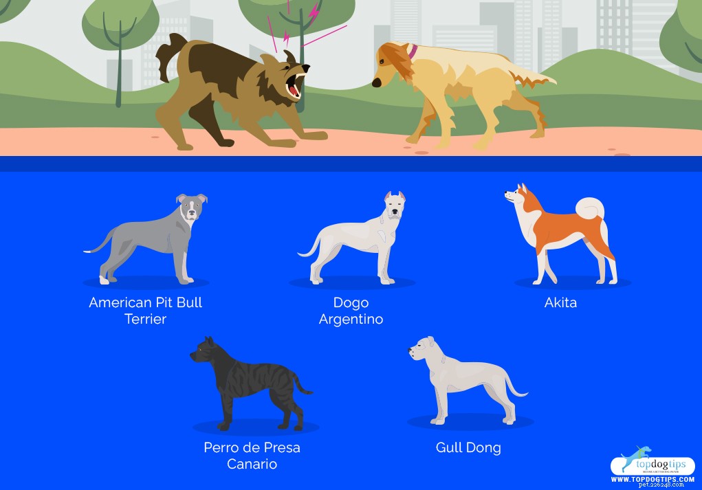 20 gevaarlijkste honden ter wereld