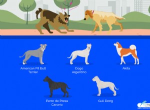 20 mest farliga hundar i världen