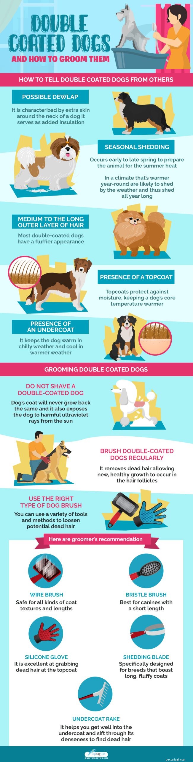 Dubbelgecoate honden en hoe ze te verzorgen