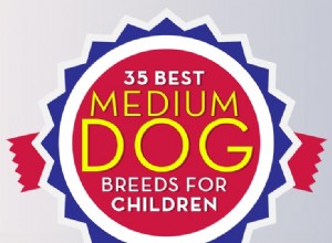 子供のための35の最高の中型および小型犬 