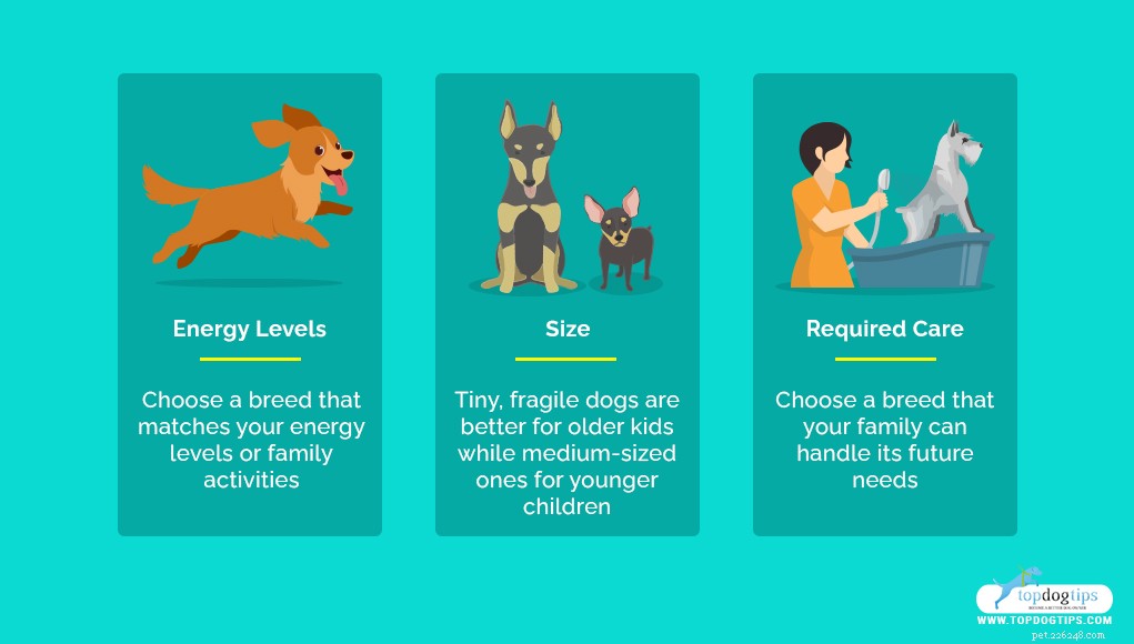 35 bästa medelstora och små hundar för barn