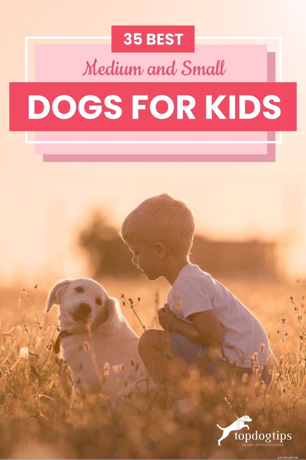 35 migliori cani di taglia media e piccola per bambini