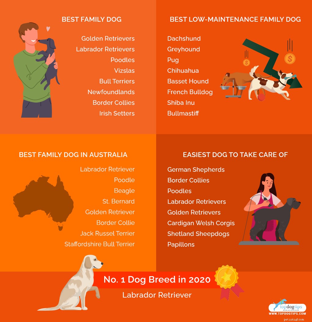 30 rassen die goede huishonden zijn en perfect voor gezinnen