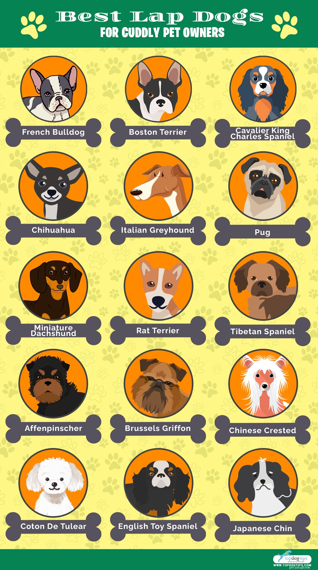30 bästa knähundar för gosiga husdjursägare