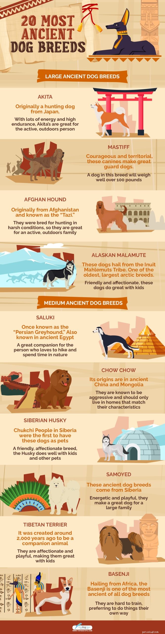 20 raças de cães mais antigas