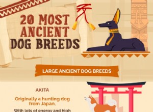 20の最も古い犬の品種 