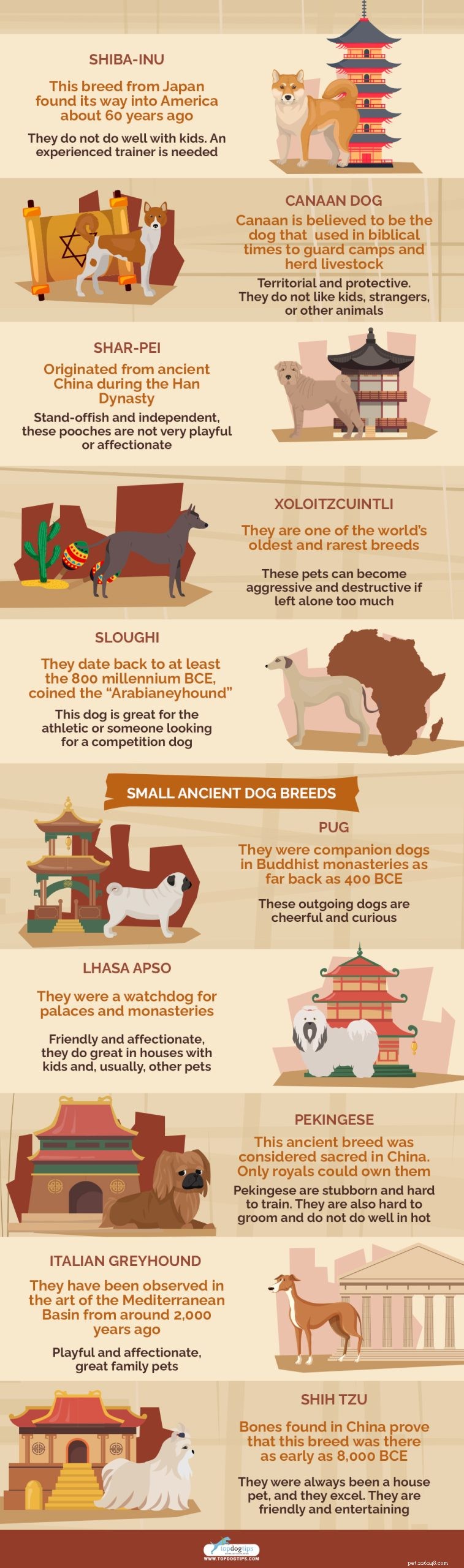 20 nejstarších psích plemen