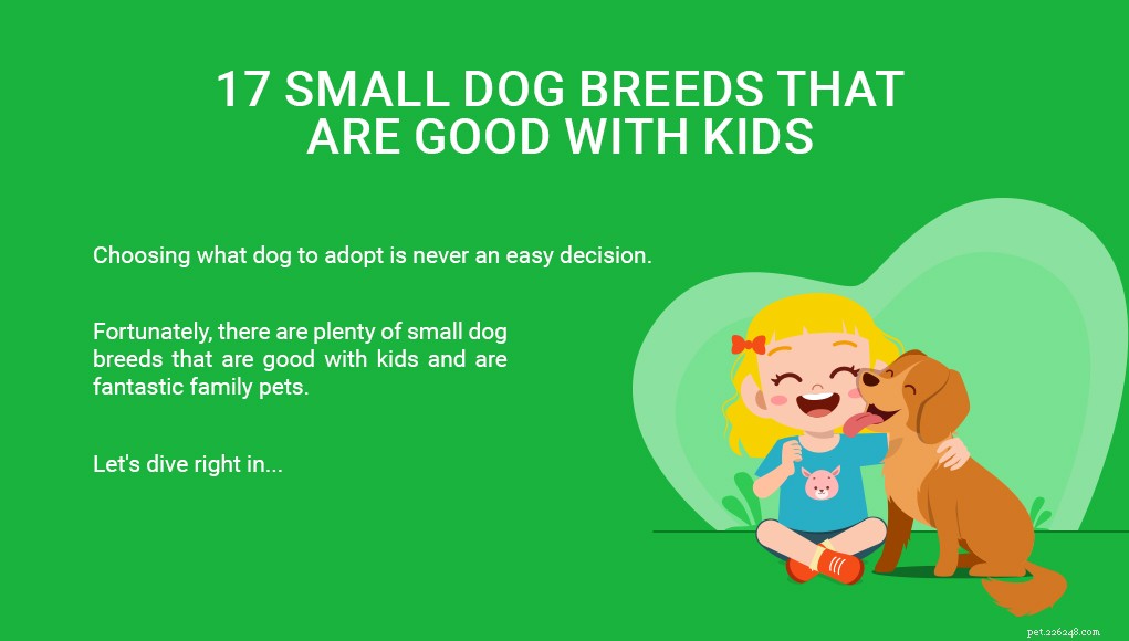 17 små hundraser som är bra med barn