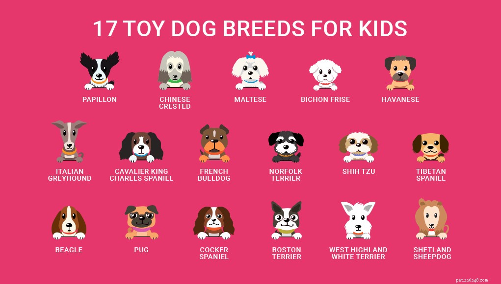 17 malých plemen psů, která jsou dobrá s dětmi 