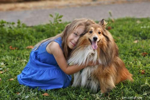 17 races de petits chiens qui s entendent bien avec les enfants