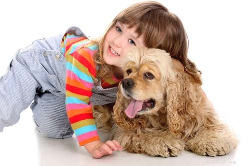 17 kleine hondenrassen die goed zijn met kinderen