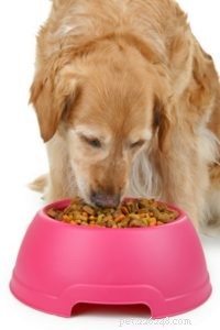 Bästa hundfoder för Golden Retrievers:5 veterinärrekommenderade märken