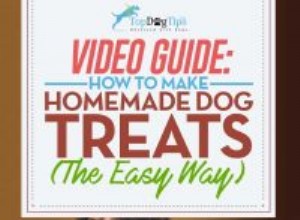 Jak vyrobit domácí pamlsky pro psy:Video průvodce 