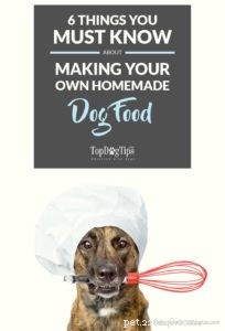 6 consigli indispensabili per preparare il tuo cibo per cani fatto in casa