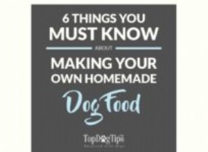 あなた自身の自家製ドッグフードを作るための6つの知っておくべきヒント 
