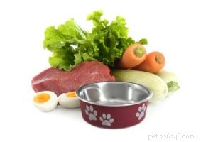 6 важных советов по приготовлению собственного домашнего корма для собак