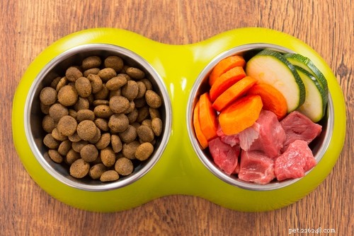 Bästa hundfoder för Yorkies:Hur och vad ska man mata Yorkshireterrier?
