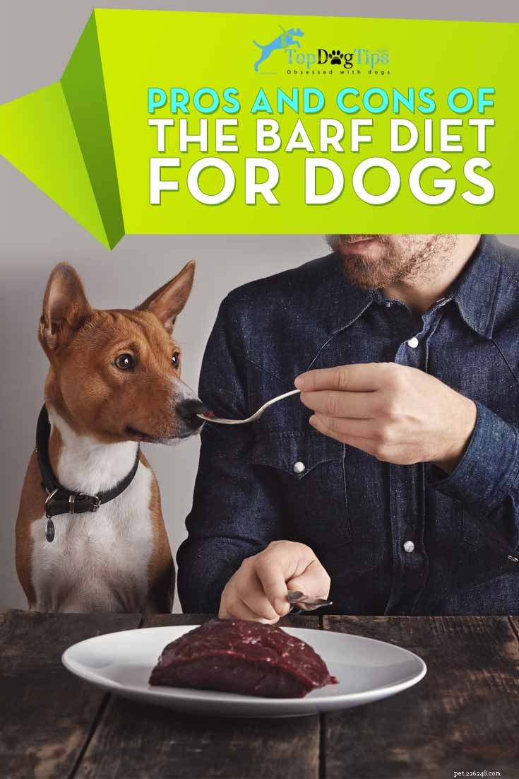 Pro a proti BARF diety pro psy