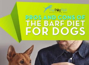 Плюсы и минусы диеты BARF для собак