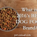 Jak zjistit, které je nejzdravější krmivo pro psy?