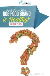 Come sapere qual è il cibo per cani più sano?