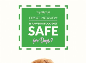 インタビュー：生のドッグフードダイエットは犬にとって安全ですか？ 