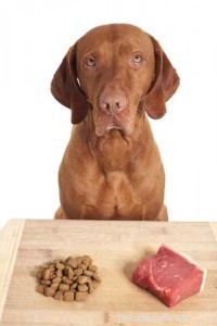 Entrevista:A dieta de ração crua para cães é segura para cães?
