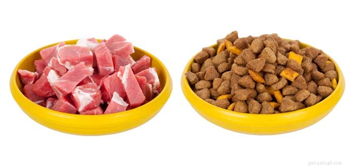 Intervista:il cibo crudo per cani è sicuro per i cani?